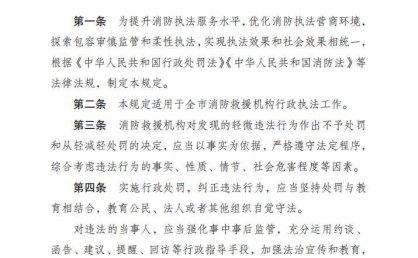 重庆市消防安全领域轻微违法行为不予处罚和从轻减轻处罚暂行规定