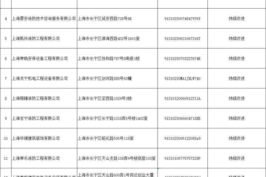 2025年消防技术服务机构质量管理体系检查情况主动公开(长宁区)